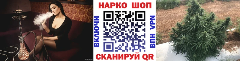 Как найти наркотики Сосновый Бор Марихуана  Псилоцибиновые грибы  Альфа ПВП  ГАШ  Меф мяу мяу 