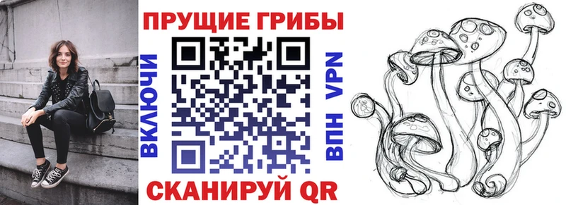 Галлюциногенные грибы GOLDEN TEACHER  это как зайти  Сосновый Бор  купить наркотики сайты 