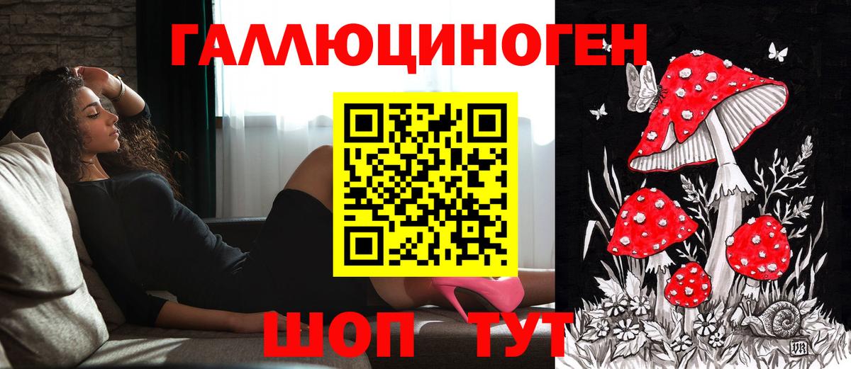 что такое   Псилоцибиновые грибы GOLDEN TEACHER  Галлюциногенные грибы Magic Shrooms  Вход с VPN  Сосновый Бор 