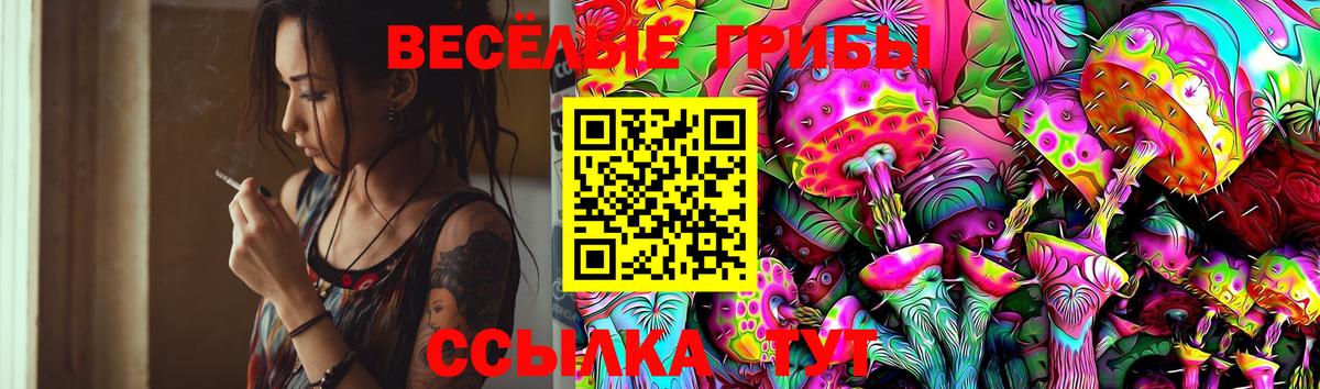 Галлюциногенные грибы прущие грибы Сосновый Бор