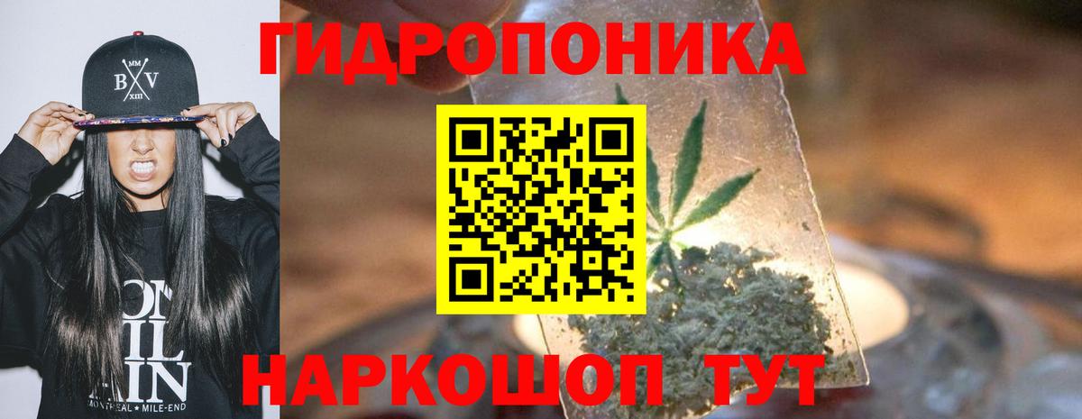 Шишки марихуана ГИДРОПОН  Конопля White Widow  Вход с VPN  Бошки марихуана конопля  Каннабис планчик  Сосновый Бор 