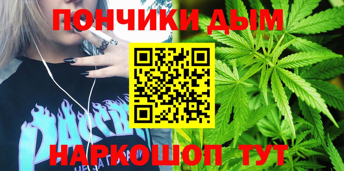 Конопля индика Сосновый Бор